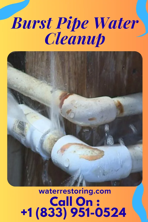 Burst Pipe Water Cleanup in Broadlands, IL